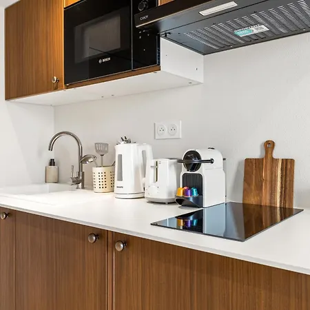 Sublime Duplex Centre De Nice, Climatise Et Renove ! *